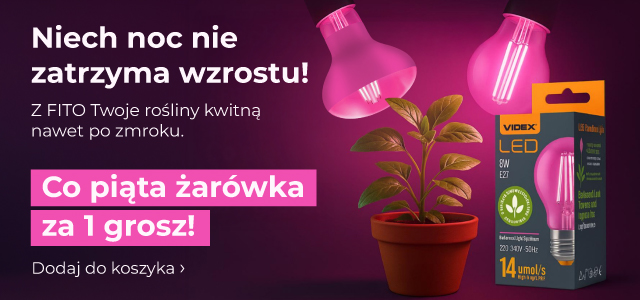 Co piąta żarówka VIDEX za grosz